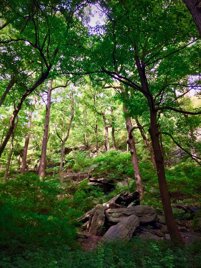 Lenape caves of Inwood Hill Park.