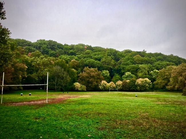 Field in Inwood Hill Park