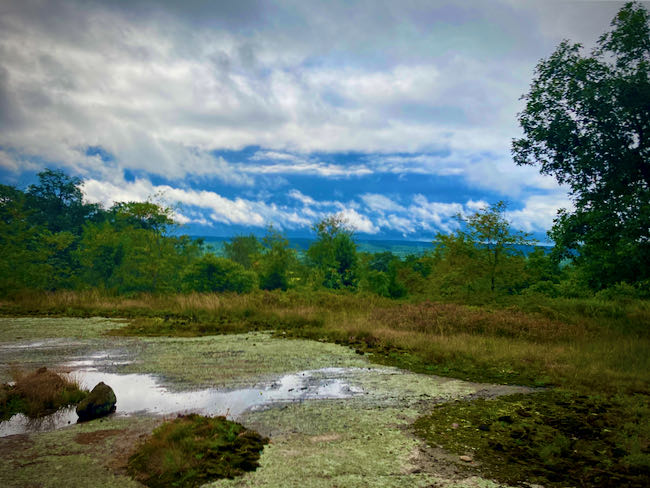 Harriman State Park Clouds