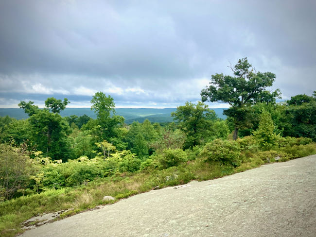Harriman State Park Manhattan Skyline 2