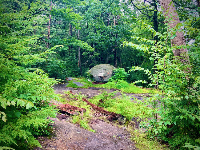 Harriman State Park Times Square