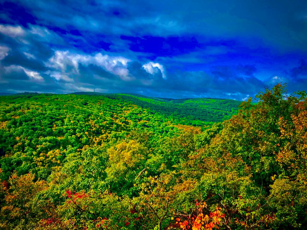 Harriman State Park Hills