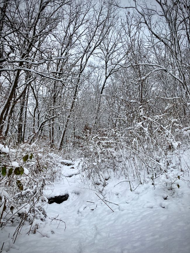 Riverdale park trail bronx