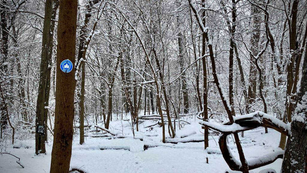 Riverdale park Bronx trail marker