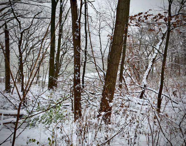 Snow slope Riverdale Park Bronx